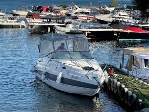 2011 STINGRAY 250CS VOLVO PENTA 225hp